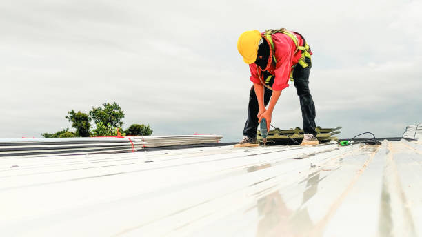 Best Roof Maintenance and Cleaning  in West View, PA